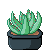 Agave (at) by mythnight