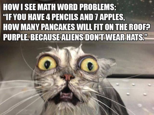 Image result for cat confused with math