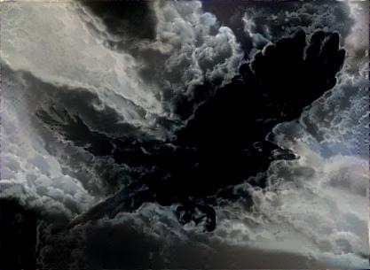 Storm Crow