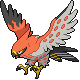 talonflame_by_n_kin-d7w1ym4.png