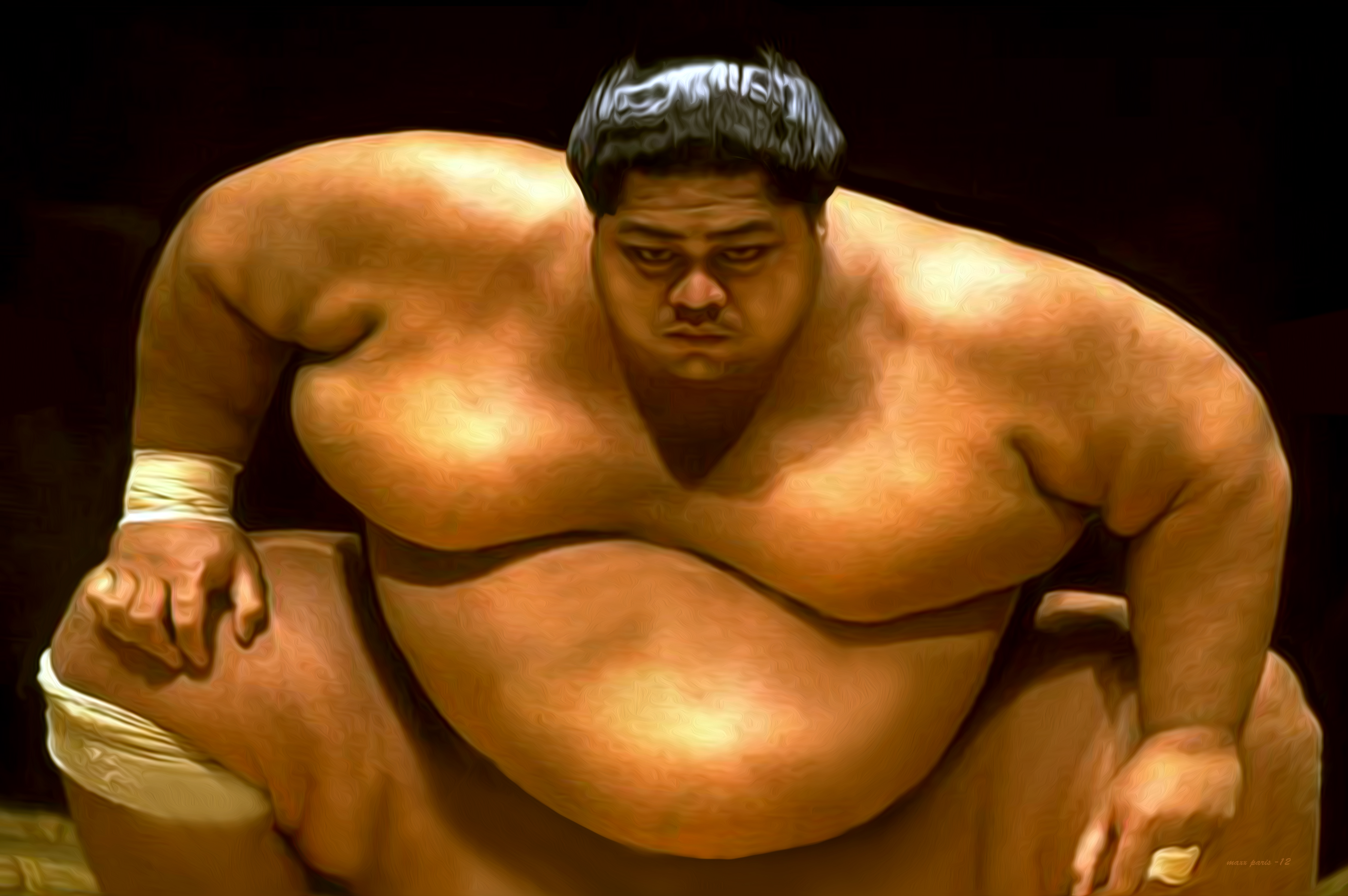 sumo_wrestler_by_maxxparis-d4xytyj.jpg