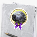 African Grey Parrot Realistic Painting Sticker