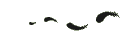 crow_divider_left_by_solusnox-d6gbufb.gif