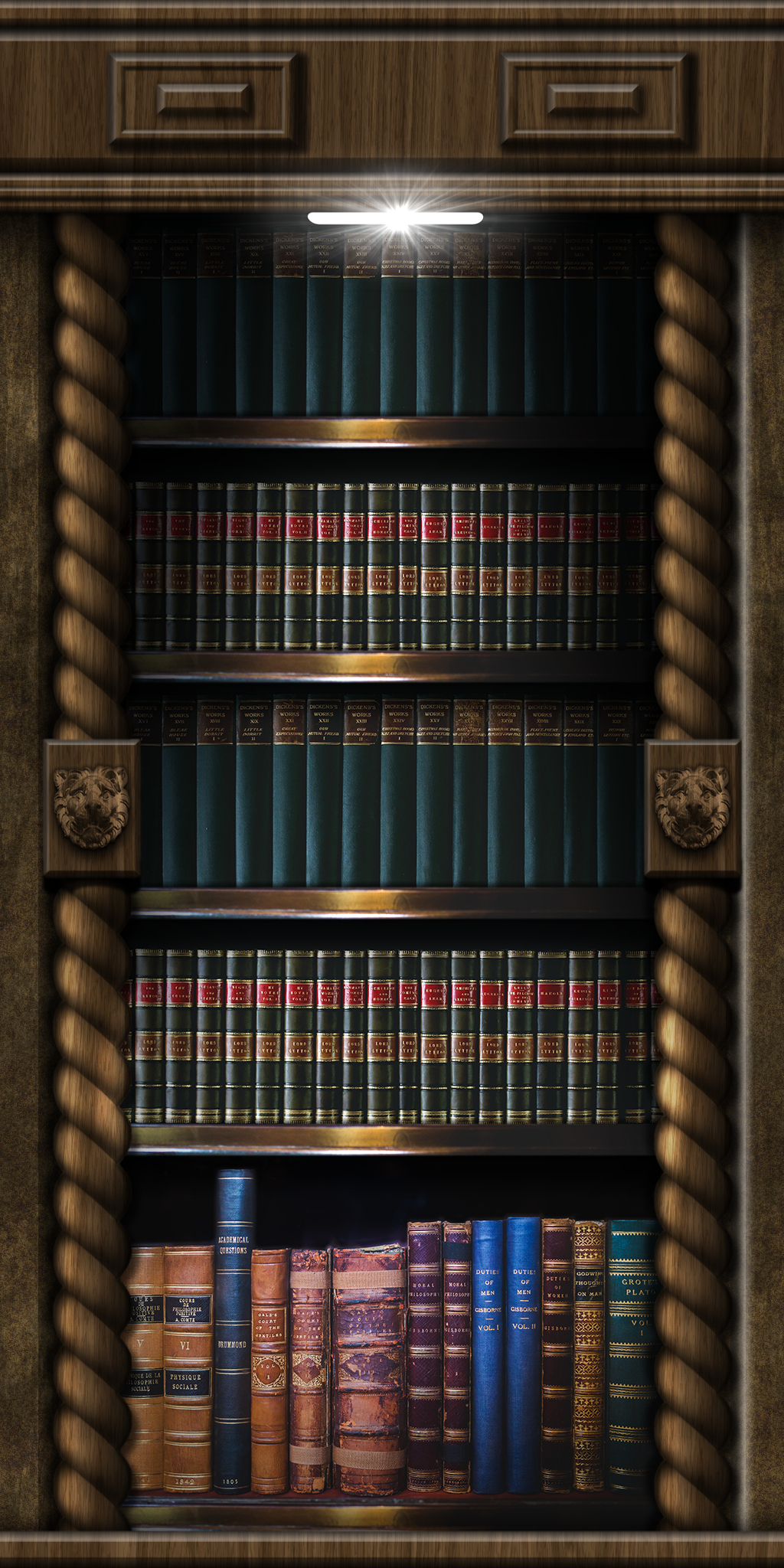 wood_panel_book_case_by_hoover1979-dbm00p3.png