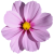 Flower icon.18