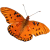 Butterfly icon.21