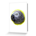 African Grey Parrot Realistic Painting Greeting Card