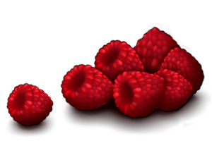 Raspberries by TokoTime