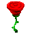 Pixel rose
