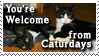 You're Welcome from Caturdays by CapnDeek373