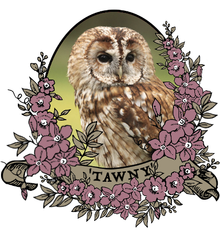 tawny_by_myserpentine-d9c25cl.png