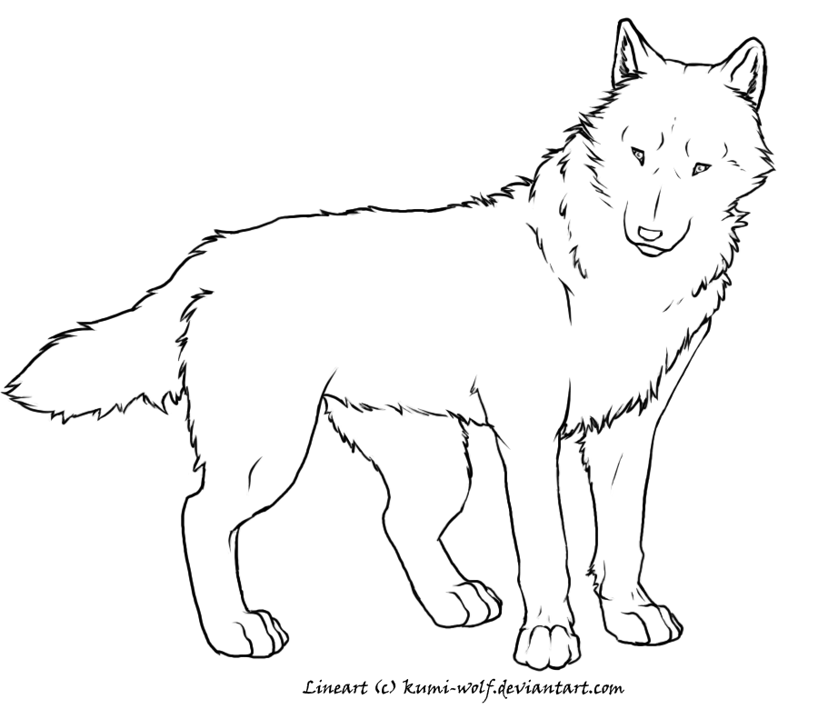 free wolf lineartkumiwolf on deviantart