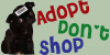 Adopt Don't Shop by Brtswim